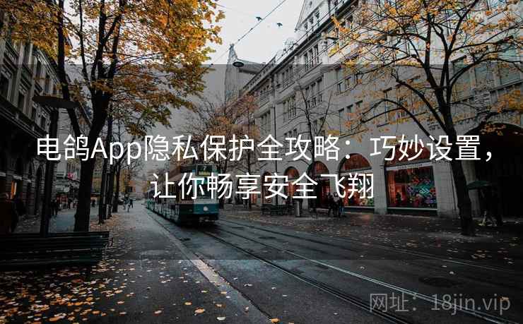 电鸽App隐私保护全攻略：巧妙设置，让你畅享安全飞翔