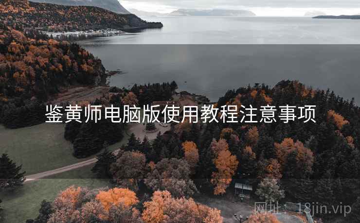 鉴黄师电脑版使用教程注意事项