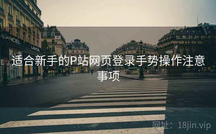 适合新手的P站网页登录手势操作注意事项