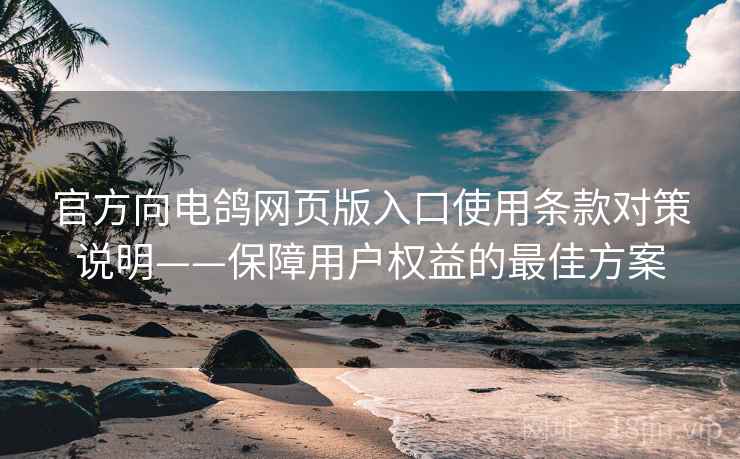 官方向电鸽网页版入口使用条款对策说明——保障用户权益的最佳方案