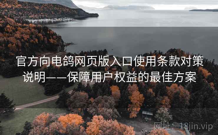 官方向电鸽网页版入口使用条款对策说明——保障用户权益的最佳方案
