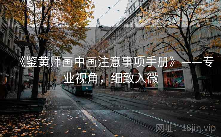 《鉴黄师画中画注意事项手册》——专业视角，细致入微