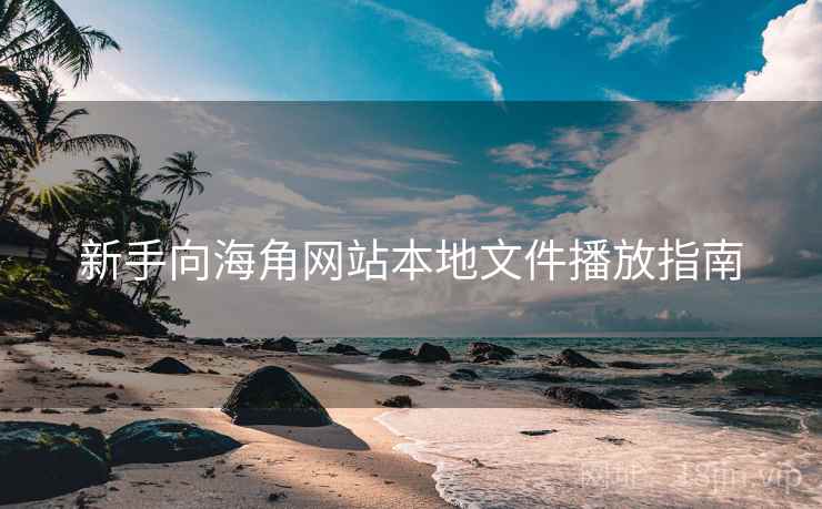 新手向海角网站本地文件播放指南