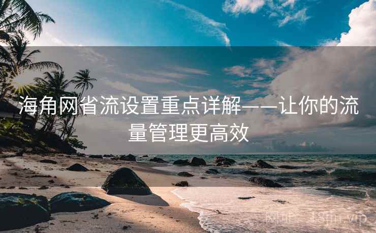 海角网省流设置重点详解——让你的流量管理更高效