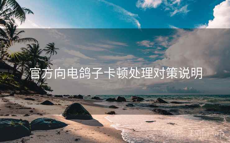 官方向电鸽子卡顿处理对策说明