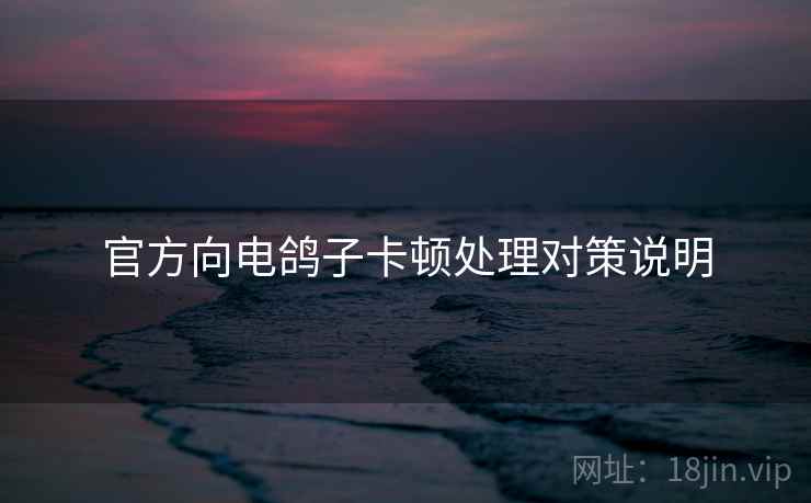 官方向电鸽子卡顿处理对策说明