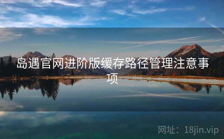 岛遇官网进阶版缓存路径管理注意事项