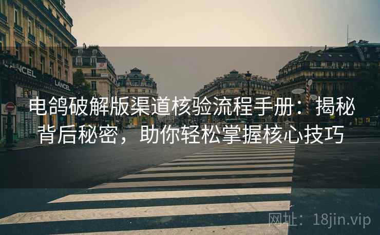 电鸽破解版渠道核验流程手册：揭秘背后秘密，助你轻松掌握核心技巧