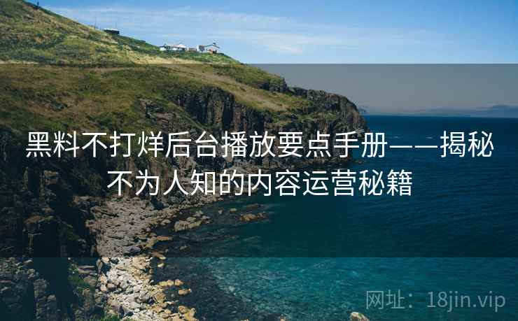 黑料不打烊后台播放要点手册——揭秘不为人知的内容运营秘籍