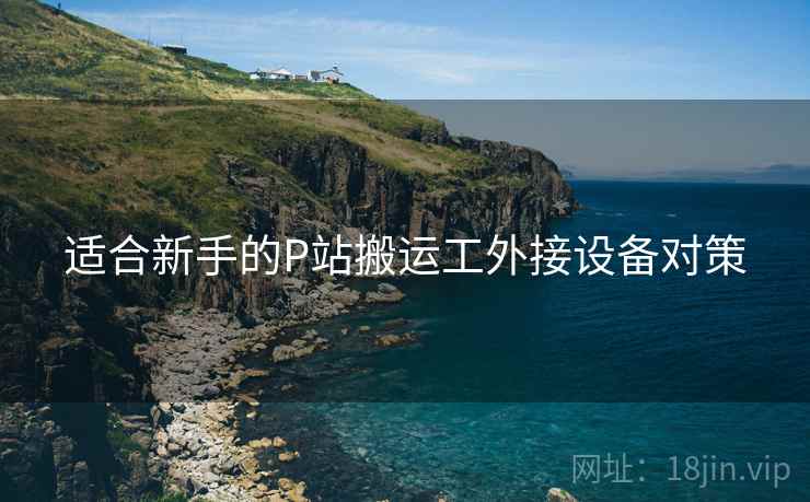 适合新手的P站搬运工外接设备对策