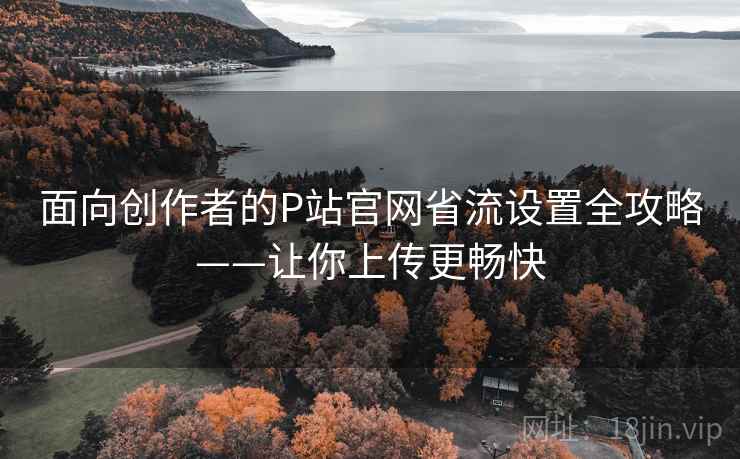 面向创作者的P站官网省流设置全攻略——让你上传更畅快