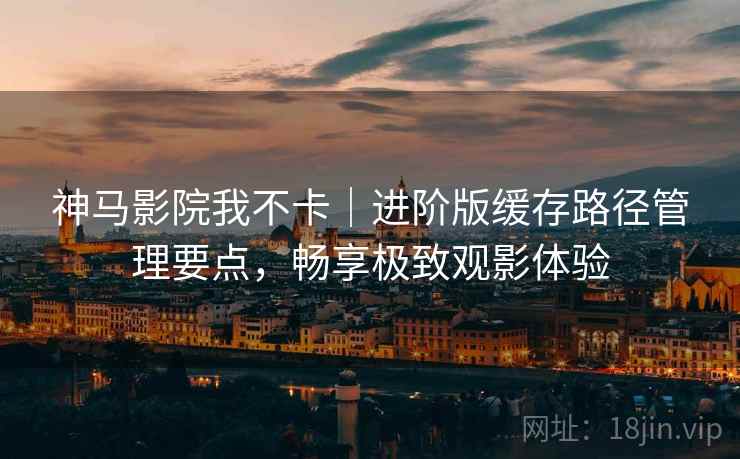 神马影院我不卡｜进阶版缓存路径管理要点，畅享极致观影体验