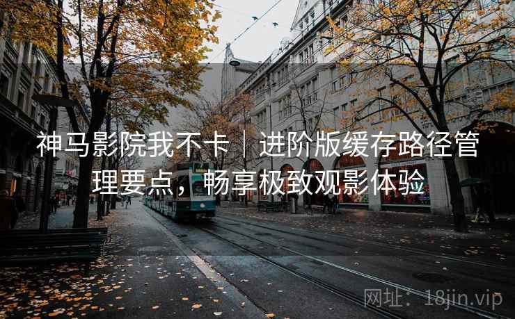 神马影院我不卡｜进阶版缓存路径管理要点，畅享极致观影体验