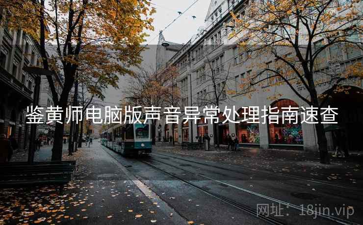 鉴黄师电脑版声音异常处理指南速查