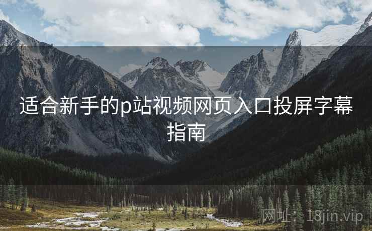 适合新手的p站视频网页入口投屏字幕指南