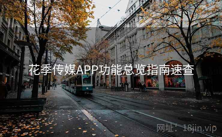 花季传媒APP功能总览指南速查