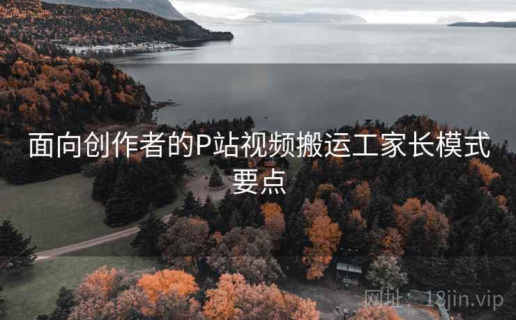 面向创作者的P站视频搬运工家长模式要点