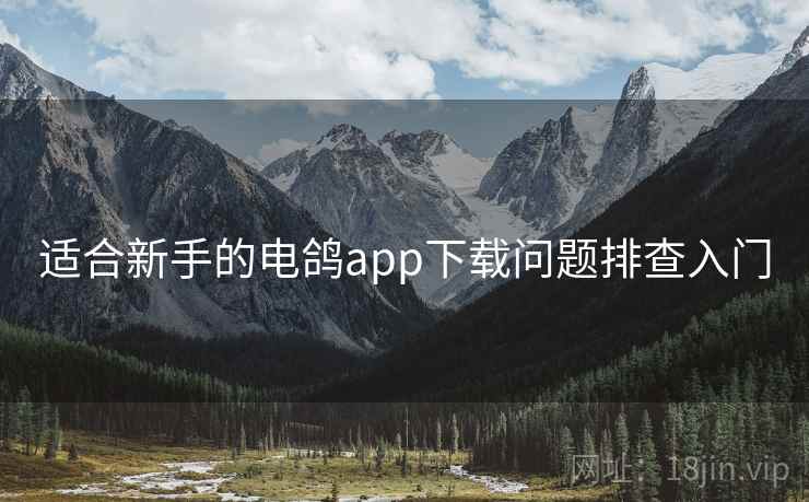 适合新手的电鸽app下载问题排查入门