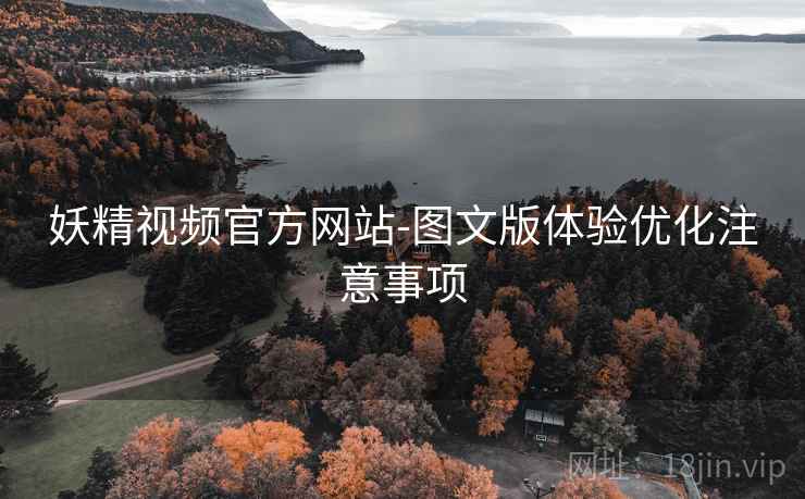 妖精视频官方网站-图文版体验优化注意事项