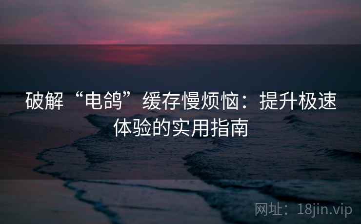 破解“电鸽”缓存慢烦恼：提升极速体验的实用指南